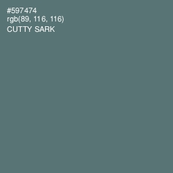 #597474 - Cutty Sark Color Image